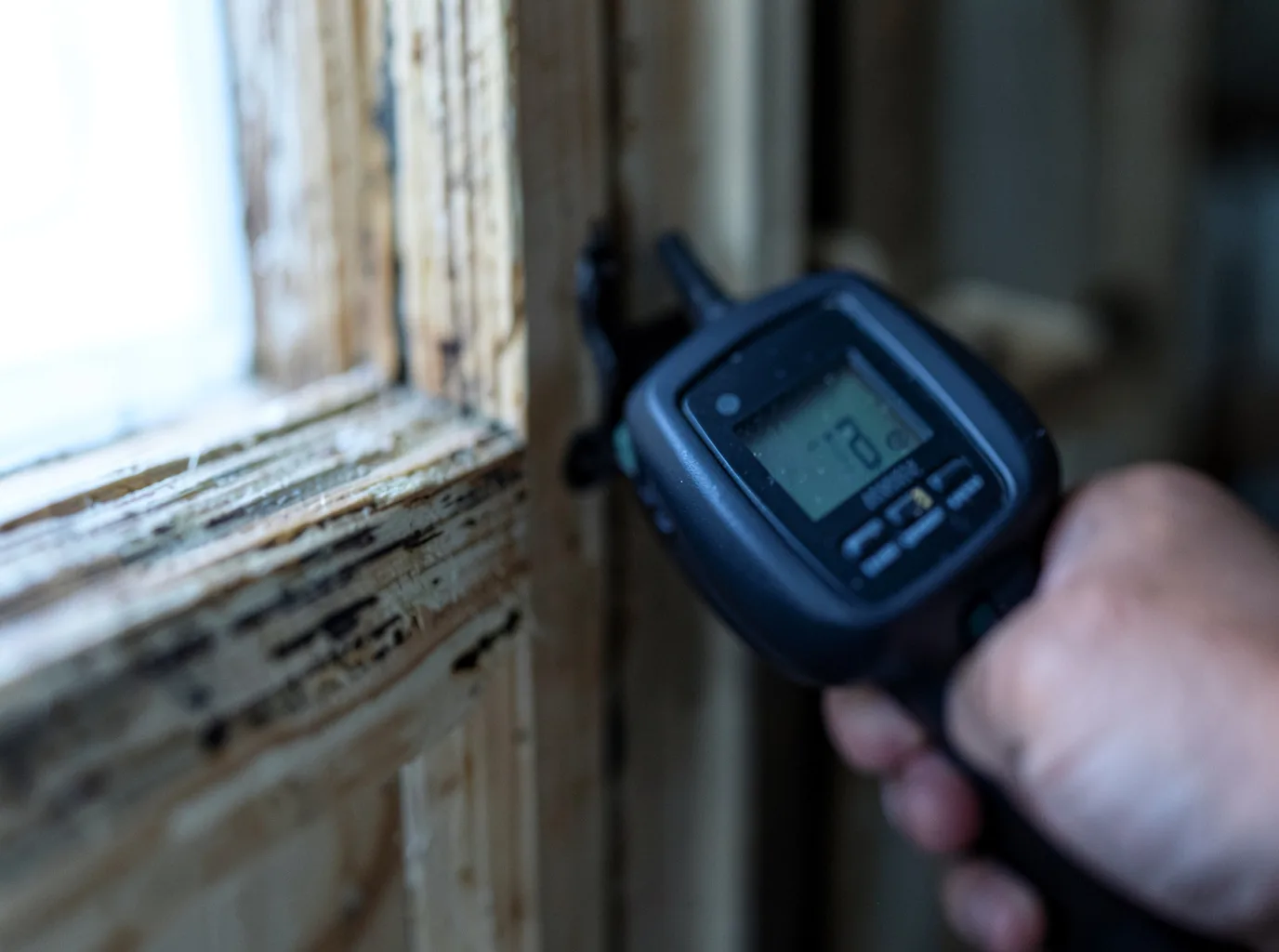 Moisture Inspection And Documentation in Cottonport, LA